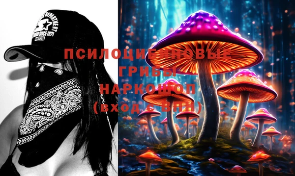 Альфа ПВП Елизово