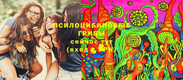 герыч Ельня