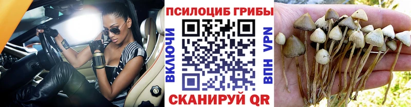 купить наркоту  Ярцево  Псилоцибиновые грибы MAGIC MUSHROOMS 